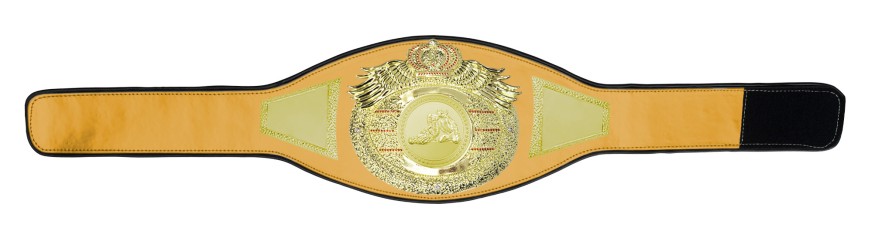 *NEW* PROICON JIU JITSU CHAMPIONSHIP BELT/G/JIUJITSUG - AVAILABLE IN 6+ COLOURS